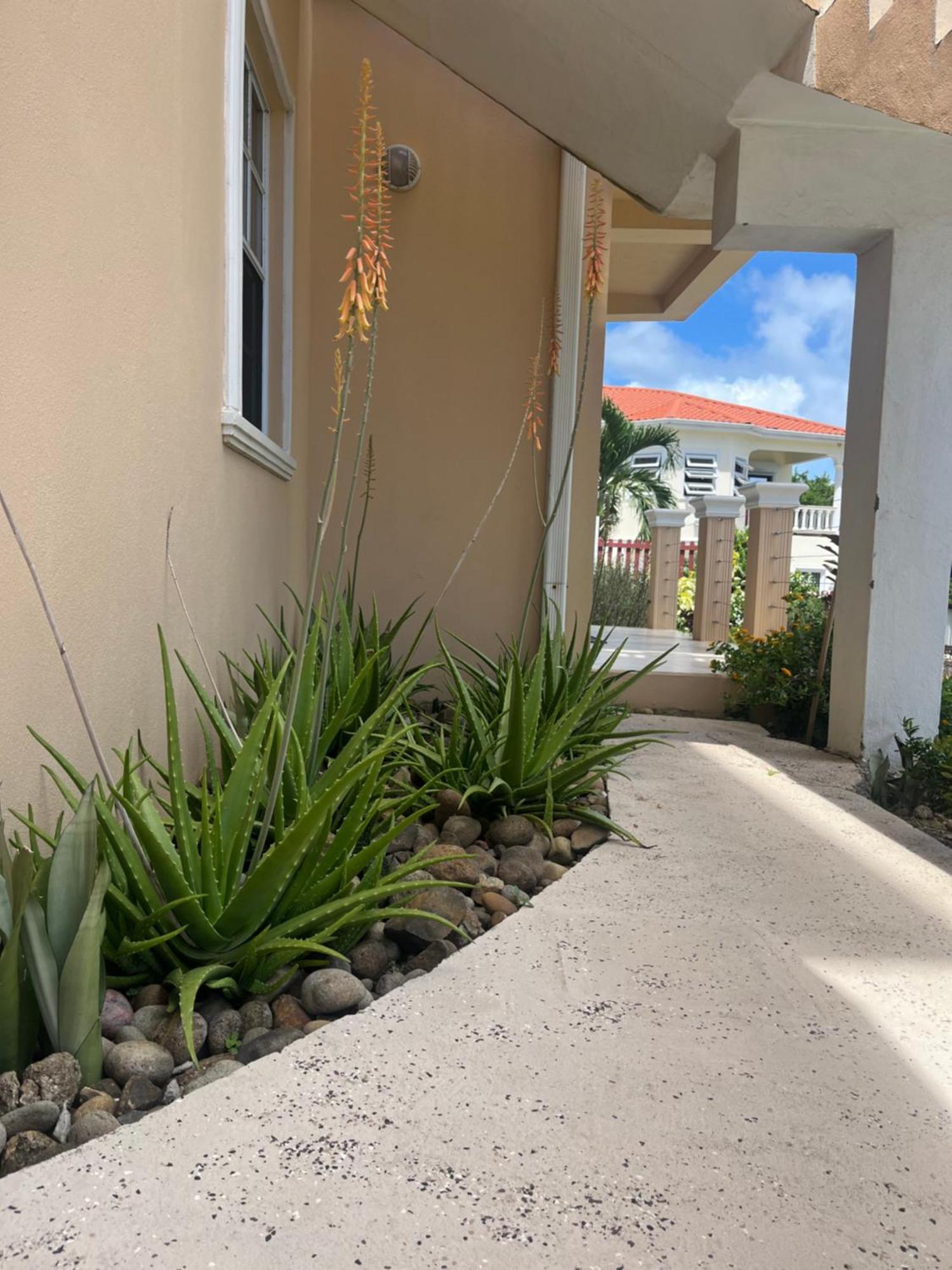 Belle Breeze Haven Apartman Gros Islet Kültér fotó