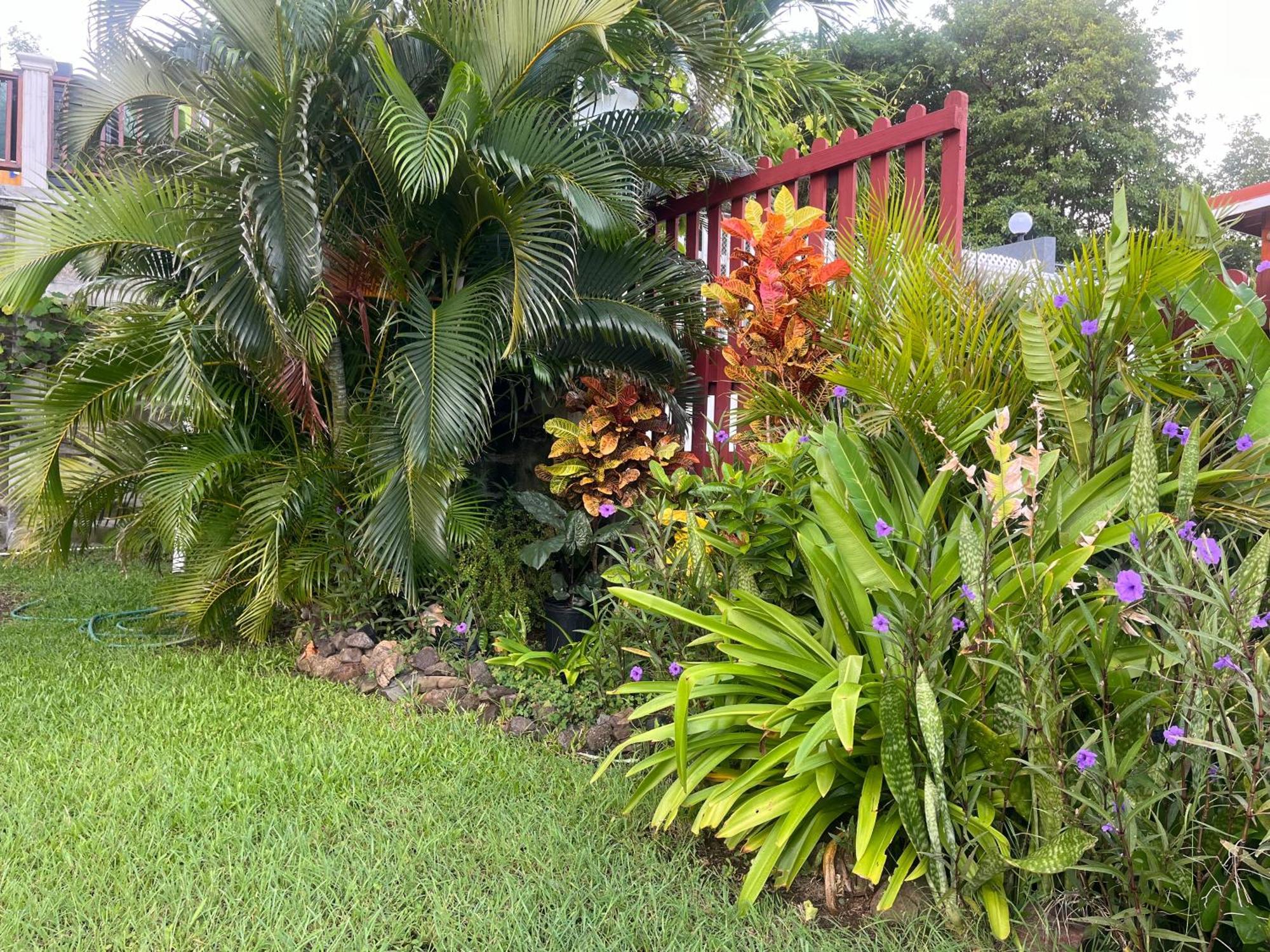 Belle Breeze Haven Apartman Gros Islet Kültér fotó